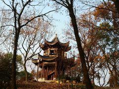 -上海市保健医疗中心