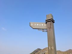 -大姆山草场