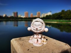 -莲花池公园