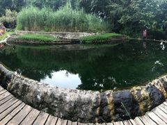 -成都市活水公园