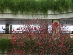 -广州白天鹅宾馆