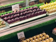 -怡聚轩全日制自助餐厅(大中华喜来登酒店)