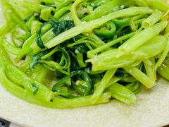 椒丝腐乳通菜-贞姨美食·老字号海鲜大排档