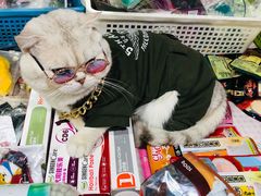 -吴山路夜市
