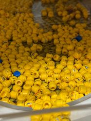 -乐高授权专卖店(新北万达店)