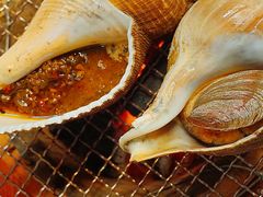 碳烧响螺-金龙·打边炉(武进路店)