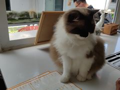 -灯塔咖啡馆BOOK·Coffee Shop