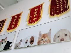 -爱侣宠医·鹦鹉专科·小型哺乳类·异宠专科(灵石路店)