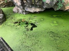 -南诏风情岛