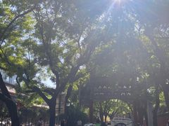 -北京国子监胡同