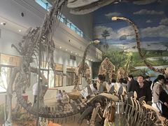 -自贡恐龙博物馆