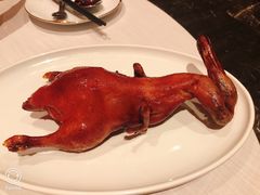 港式烤乳鸭-东富酒家(龙湖西溪天街店)