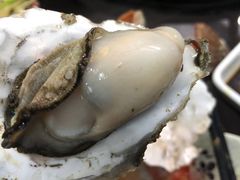 -大锅强·蒸海鲜青岛菜(吾悦广场店)