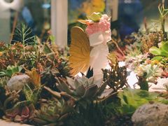 -春树下·树屋花房西餐厅(罍街AS1980店)