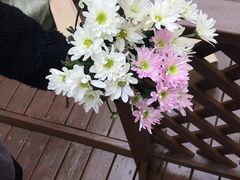 -ChaKo Flora ·茶子花艺 (市北店)