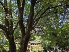 -杭州半山国家森林公园