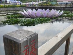 -帽儿山风景区