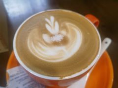 -猪圈咖啡