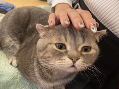 -猫咪派对(江南西店)