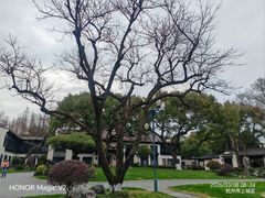 -杭州西湖柳莺里酒店