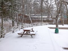 -凤凰山国家森林公园