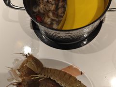 -加餐海鲜自助(宝龙一城店)