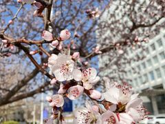 -防灾科技学院(南校区)