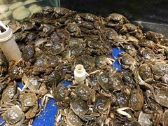 -集品鲜湾·蒸汽海鲜自助料理(青岛银座和谐广场店)