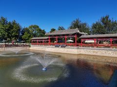 -尚庄度假村·庭台树下·户外烧烤·团建CS·轰趴营地(上庄水库店)