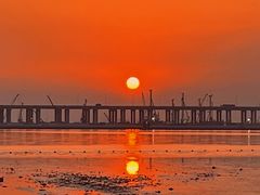 -宝安西湾红树林湿地公园