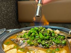 -探鱼·鲜青椒爽麻烤鱼(苏宁广场店)