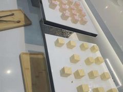 -田素(稻田创业小镇店)