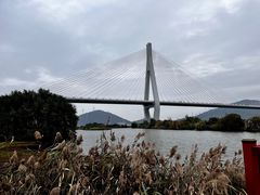 -芒洲湿地公园