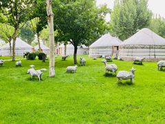 -九十九顶毡房(阜石路店)