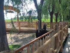 -白渔泡湿地公园