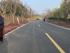 -同里国家湿地公园