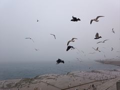 -星海广场