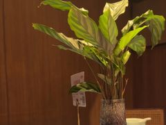-巡湘记·地道湖南菜(活力城店)