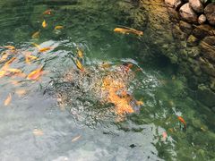 -白云源风景区