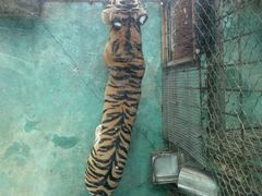 -栾川竹海野生动物园