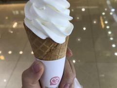 -蜜雪冰城(万达广场店)