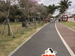 -野狸岛