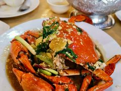 -大树下海鲜饭店