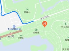 -迪士尼乐园停车场