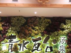 -青水瓦台汤泉(新华店)