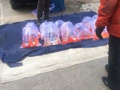 -华声天桥民俗文化园