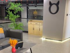 -猫窝棋牌(尚大国际店)