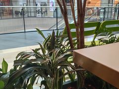 -烹然四季椰子鸡火锅(姚家园万象汇店)