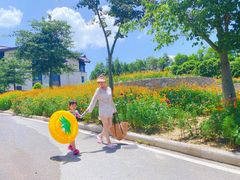 -清远熹乐谷温泉度假酒店