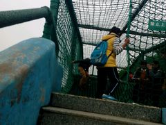 -广东茂名森林公园